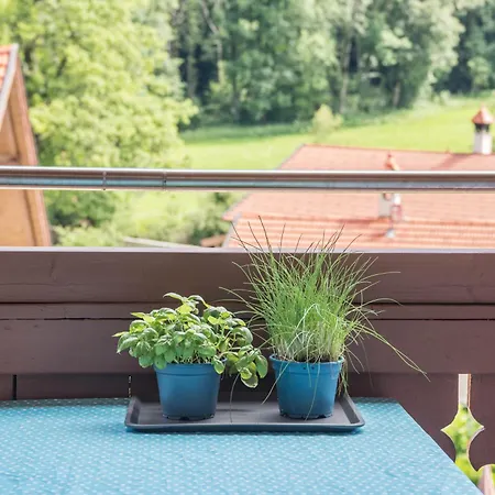 Traum-ferienwohnung Apartment