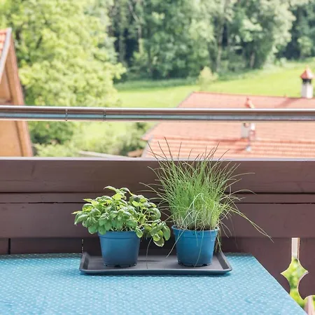 Apartment Traum-ferienwohnung Siegsdorf